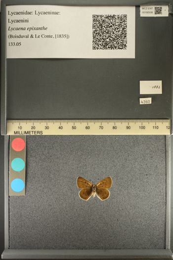 Media type: image;   Entomology 192538